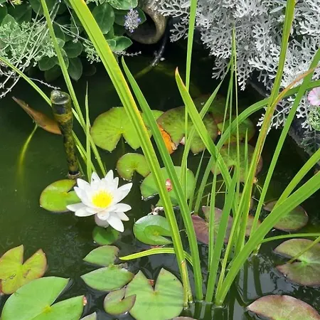 Séjour chez l'habitant Nuit Champenoise Confort *