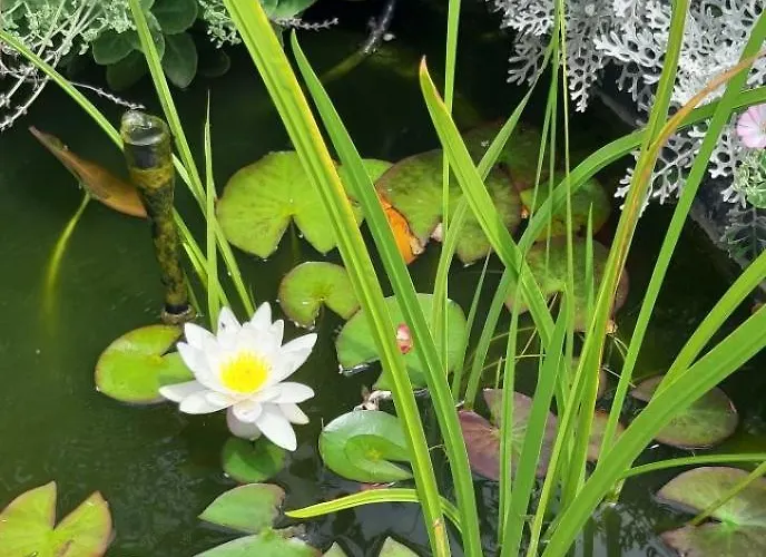 Homestay Nuit Champenoise Confort *